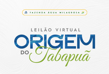 LEILÃO VIRTUAL ORIGEM DO TABAPUÃ